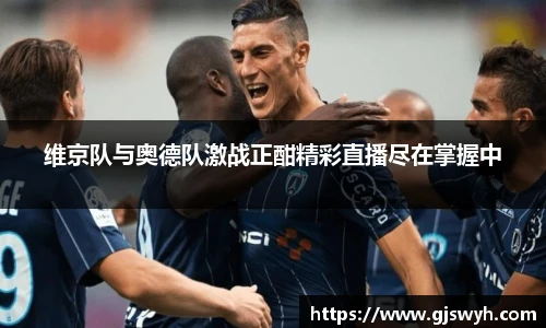 维京队与奥德队激战正酣精彩直播尽在掌握中