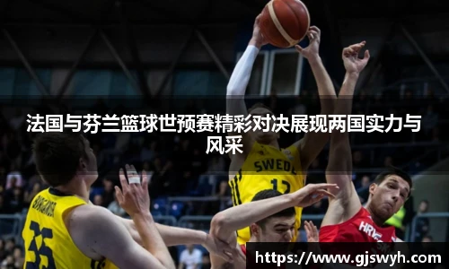 法国与芬兰篮球世预赛精彩对决展现两国实力与风采